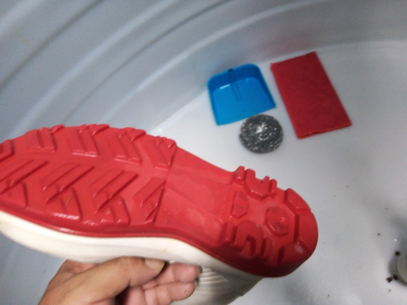 Lavado de cisternas rotoplas contaminadas con heces popo caca de animales mascotas perros gatos