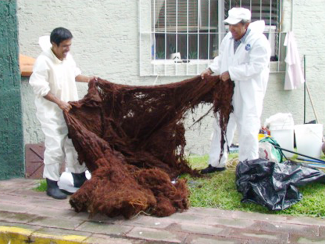 Serviiode lavado y reparado de cisternas de concreto cemento con raices 