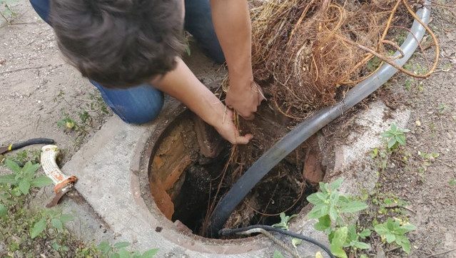 Lavado de aljibes con raices lavado desinfectado Zapopan Guadalajara