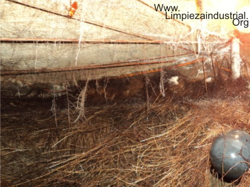 lavado y reparado de cisternas contaminadas con raices lodo basura sanitizado Rotoplas Citijal