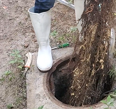 Lavado de aljibes con raices escombro basura Guadalajara Jal